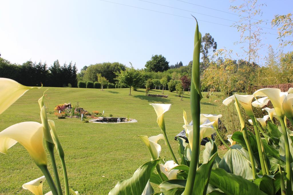 El Alto De Marin Guest House โอซนาโย ภายนอก รูปภาพ